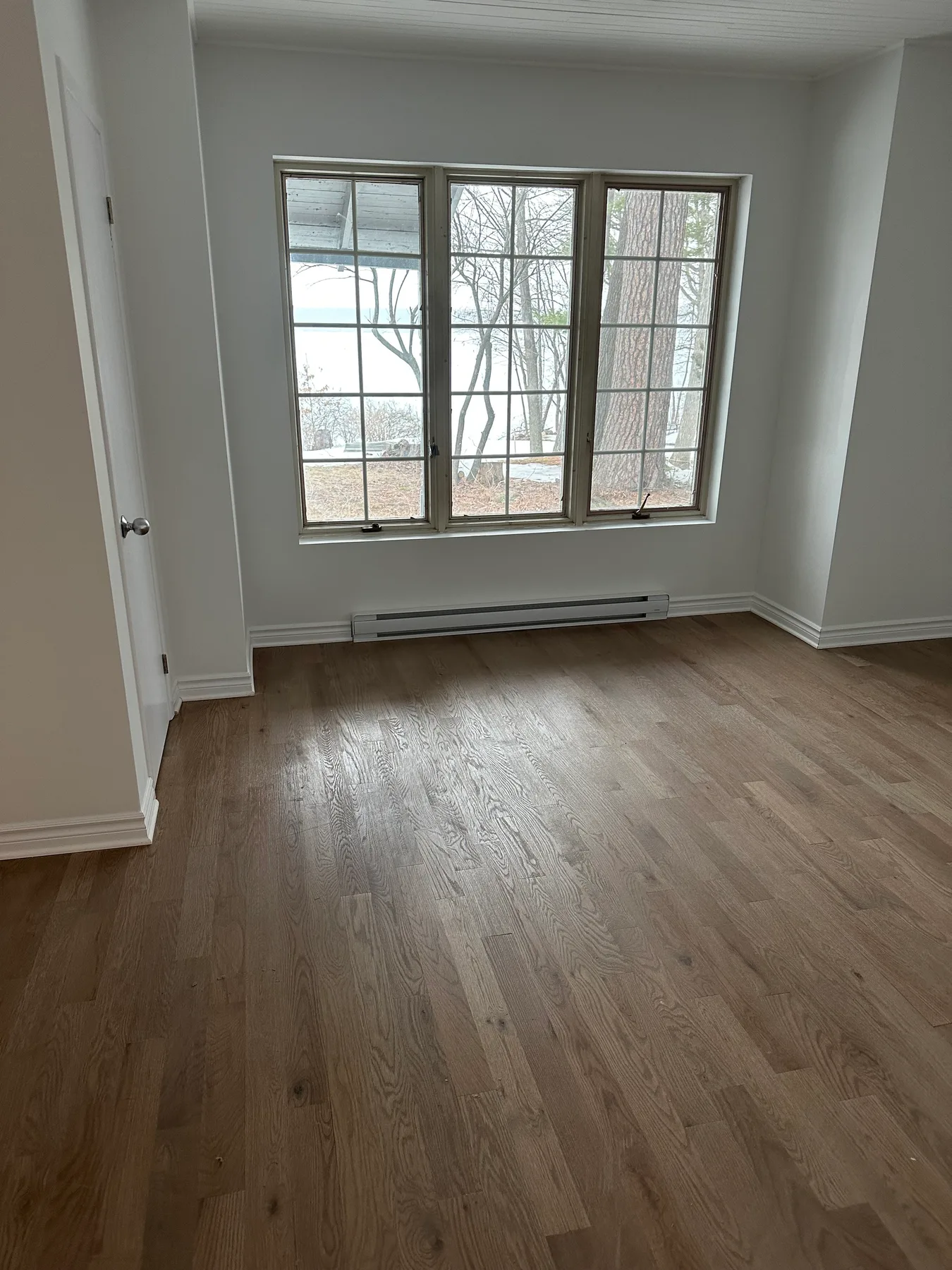 Mur de bois en accent sous un plafond de grande hauteur